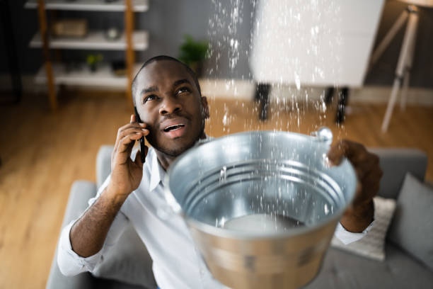 Best Water damage cleanup near me  in La Cienega, NM