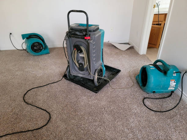 Best Flooded house restoration  in La Cienega, NM