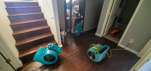 Best 24-hour water damage restoration  in La Cienega, NM