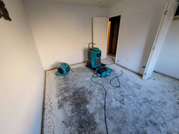 Best Commercial water damage restoration  in La Cienega, NM