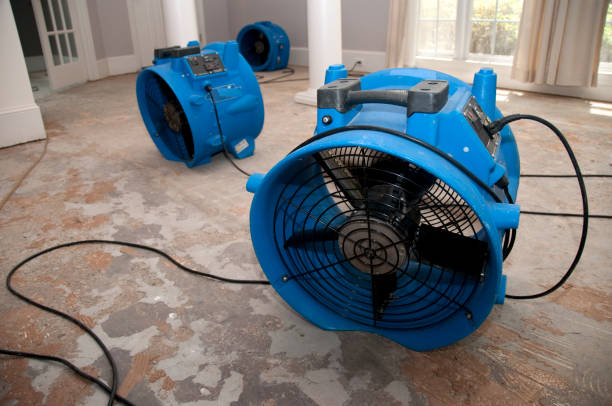 Best Water damage restoration near me  in La Cienega, NM