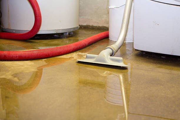Best Mold removal after water damage  in La Cienega, NM
