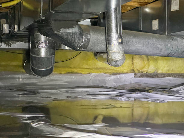 Best 24/7 water damage repair  in La Cienega, NM