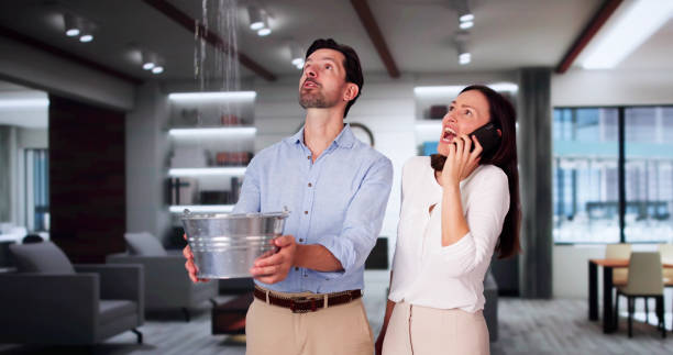 Best Water damage contractors near me  in La Cienega, NM